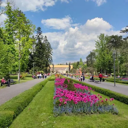 Apartament Vrnjacki *